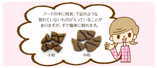 アボ・ダーム