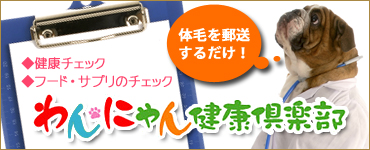 ���ɂ�񌒍N��y��