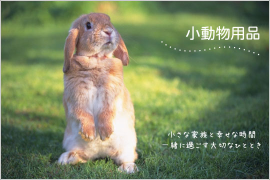 �������p�i