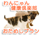 ���ɂ�񌒍N��y��
