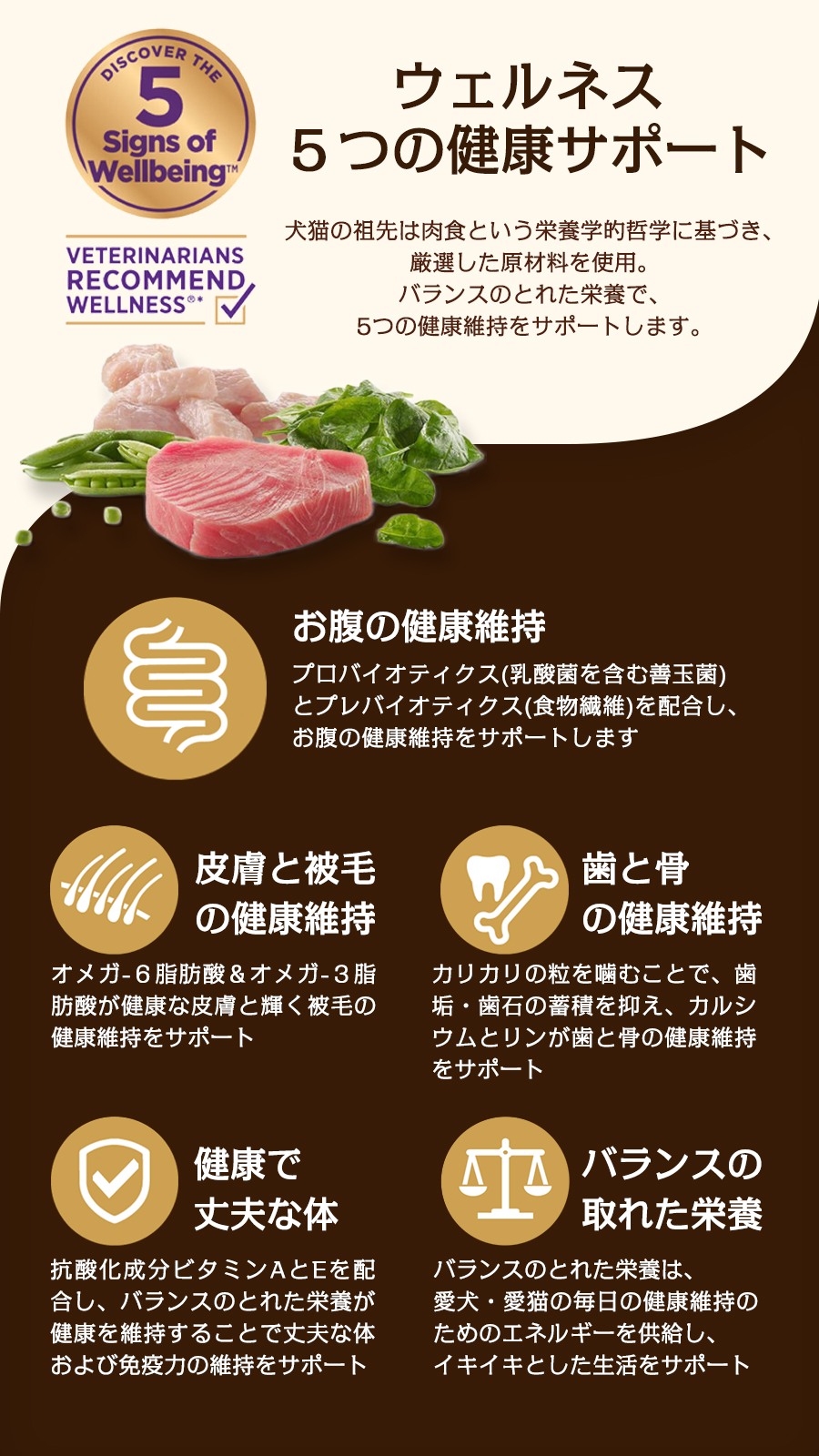 ウェルネスの特徴