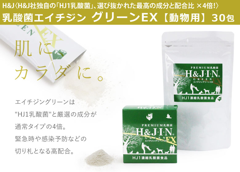 Premium乳酸菌H&JIN 乳酸菌エイチジングリーン【動物用】30包