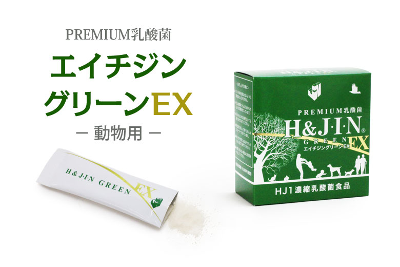 Premium乳酸菌H&JIN 乳酸菌エイチジングリーンEX【動物用】30包