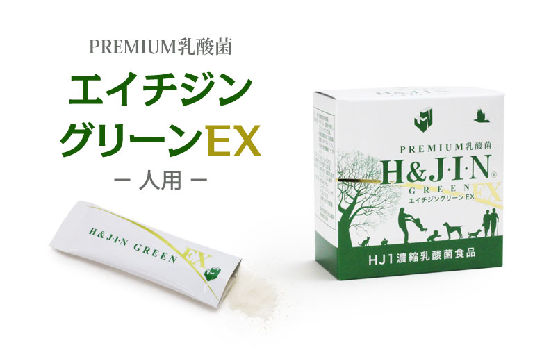 Premium乳酸菌H&JIN 乳酸菌エイチジングリーンEX【人用】30包