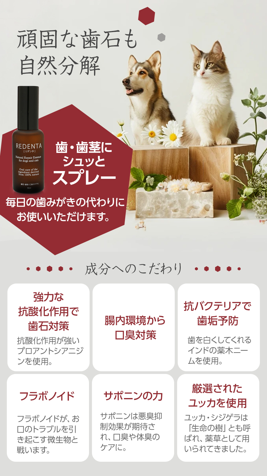 リデンタ 歯石ケアスプレー