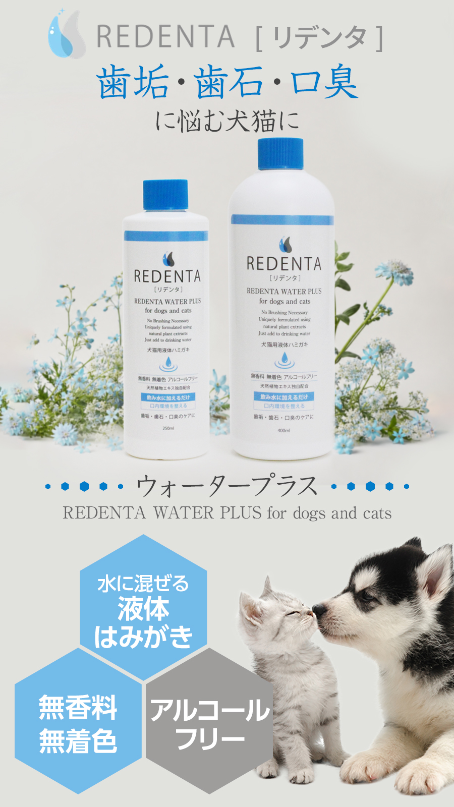 リデンタウォータープラス