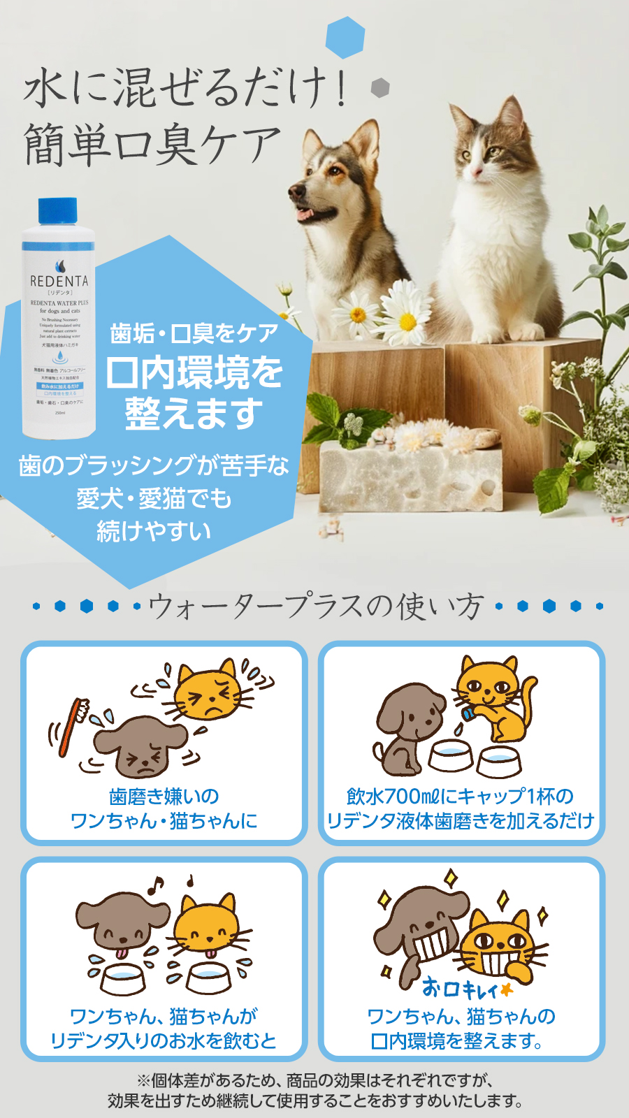 リデンタウォータープラス