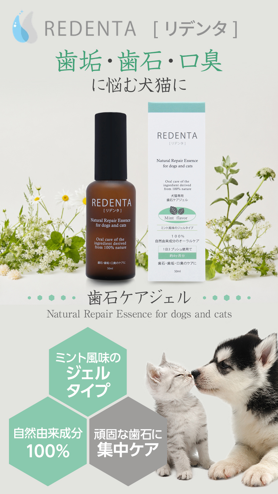 リデンタ 歯石ケアジェル