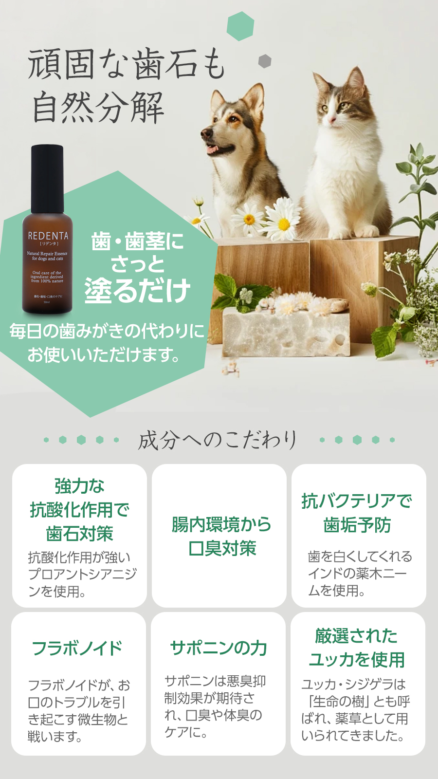 リデンタ 歯石ケアジェル
