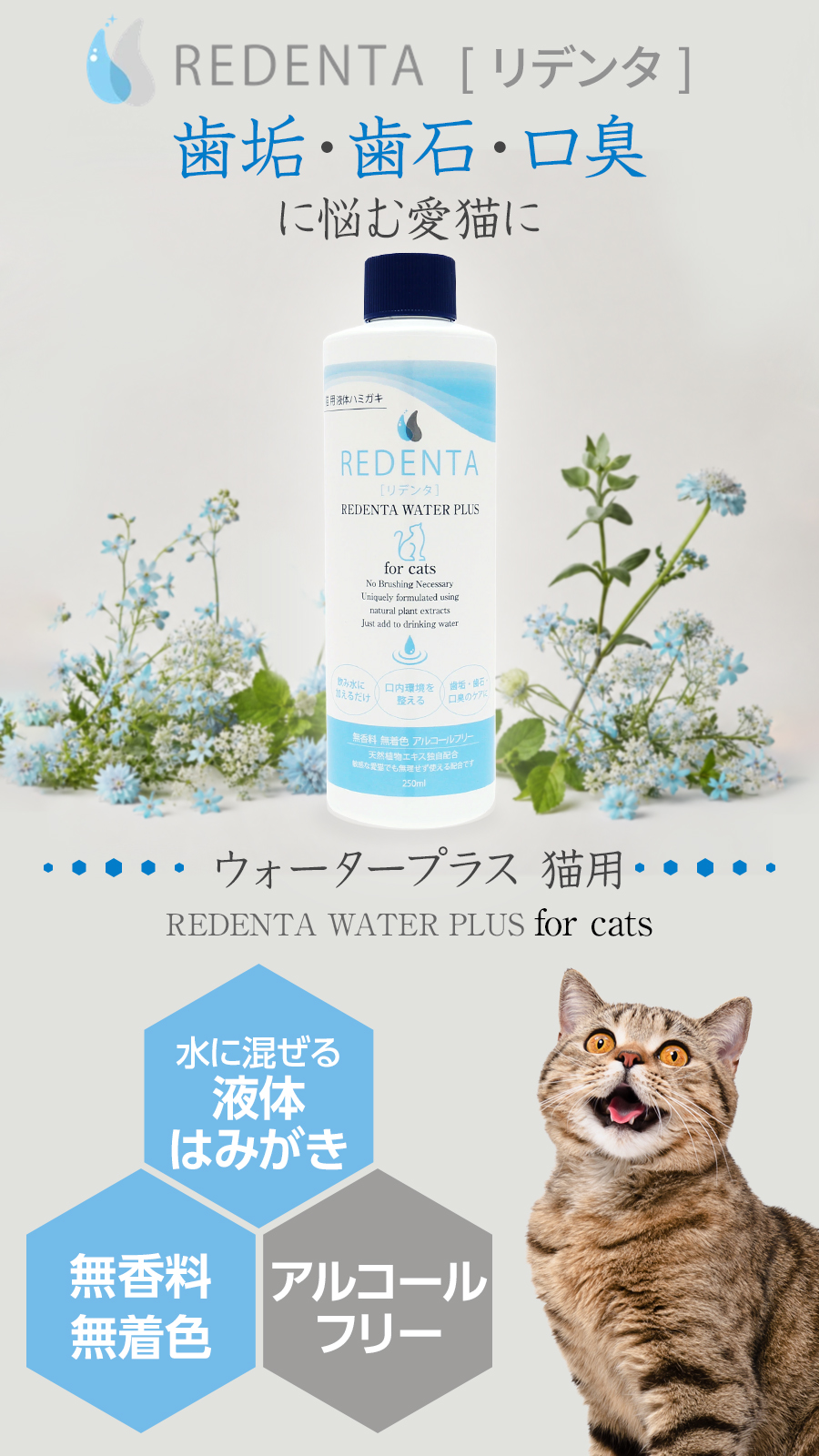 猫用 リデンタウォータープラス