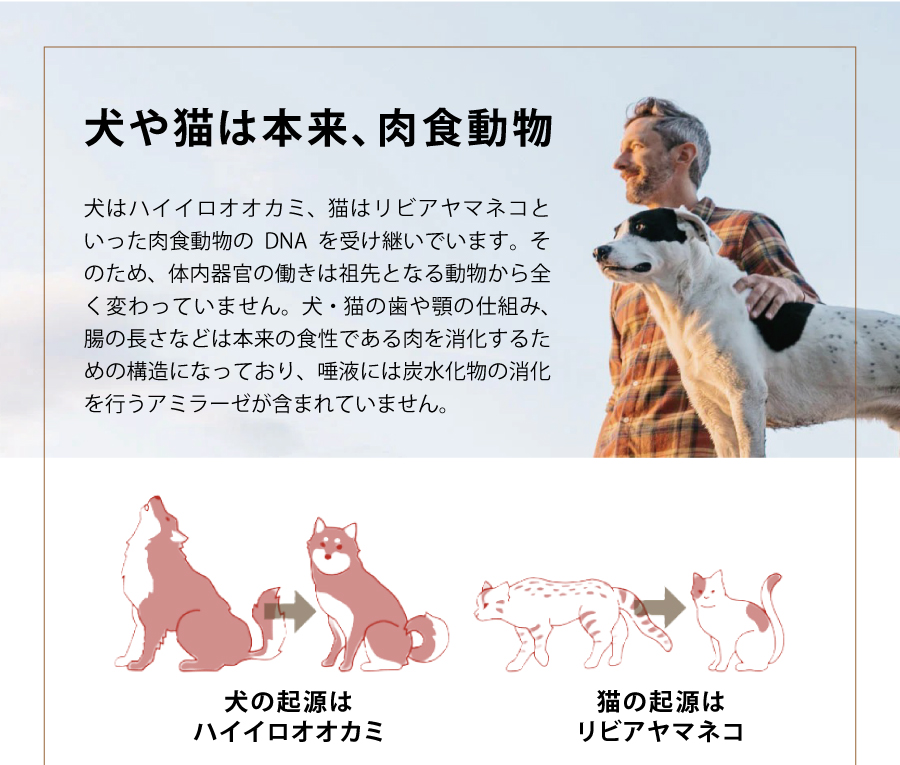 アカナドッグフードは肉含有量が高く、低炭水化物のこだわり