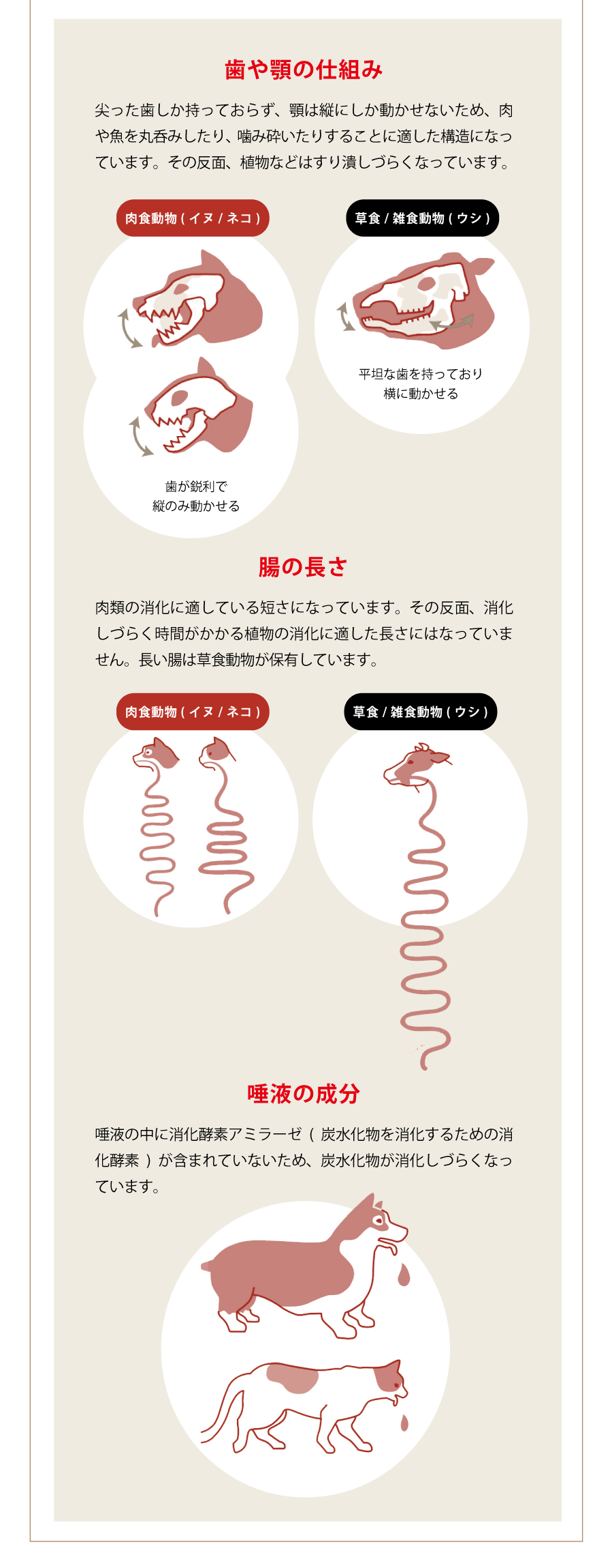 アカナドッグフードは肉含有量が高く、低炭水化物のこだわり