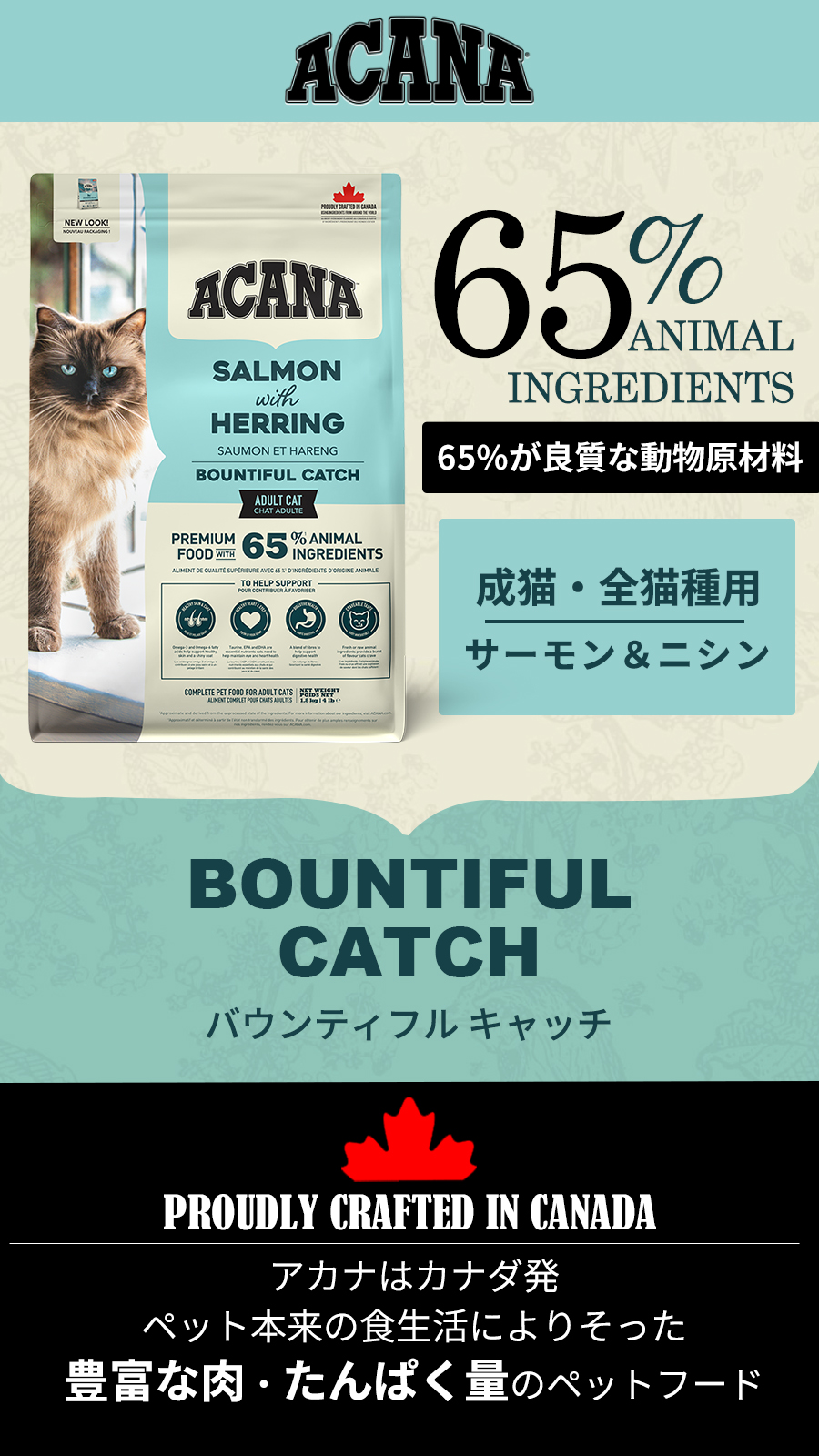 アカナ クラシック キャット