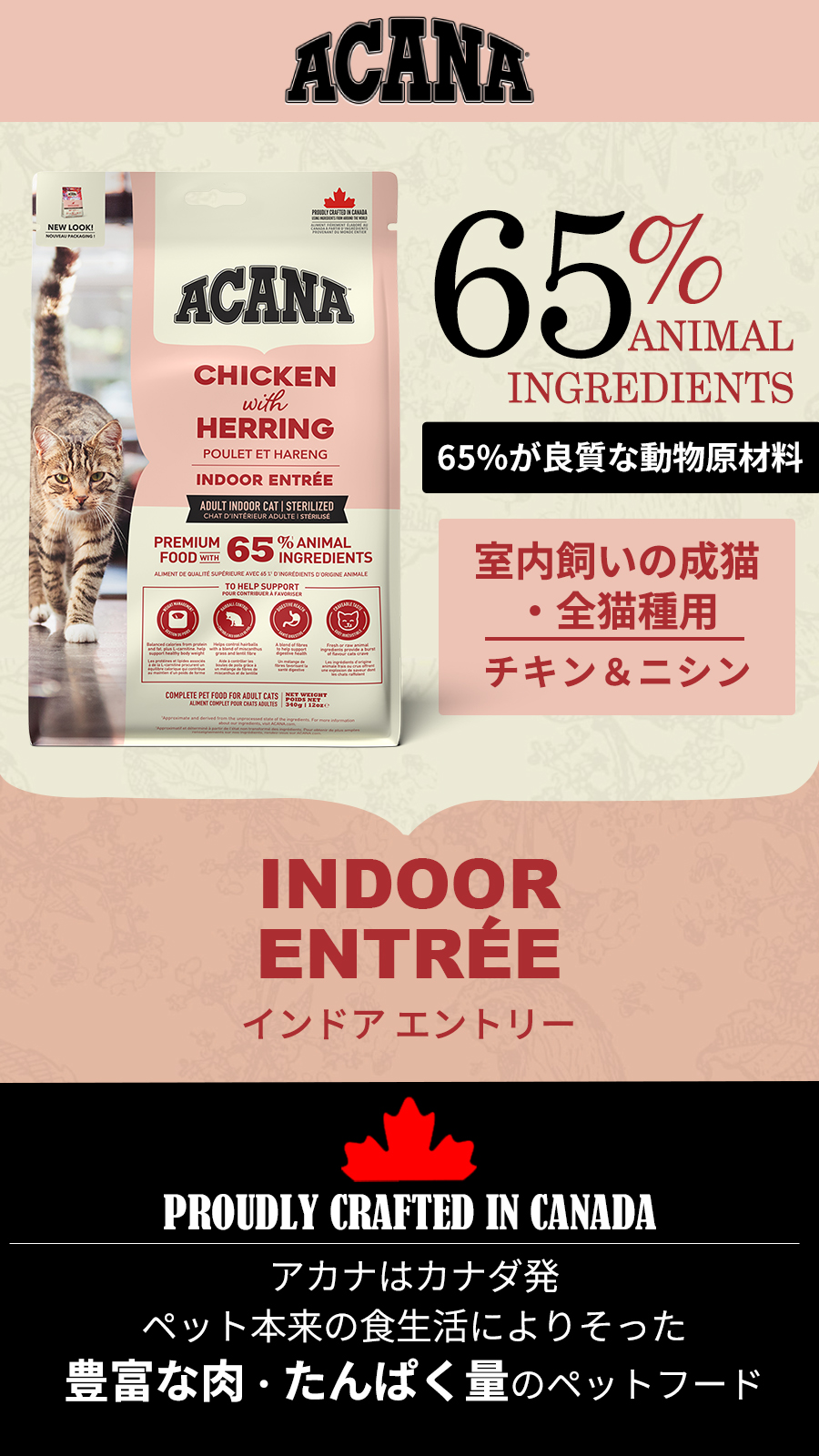 アカナ クラシック キャット