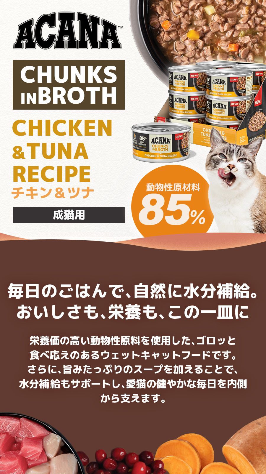 チャンクインブロス　チキン&ツナ
