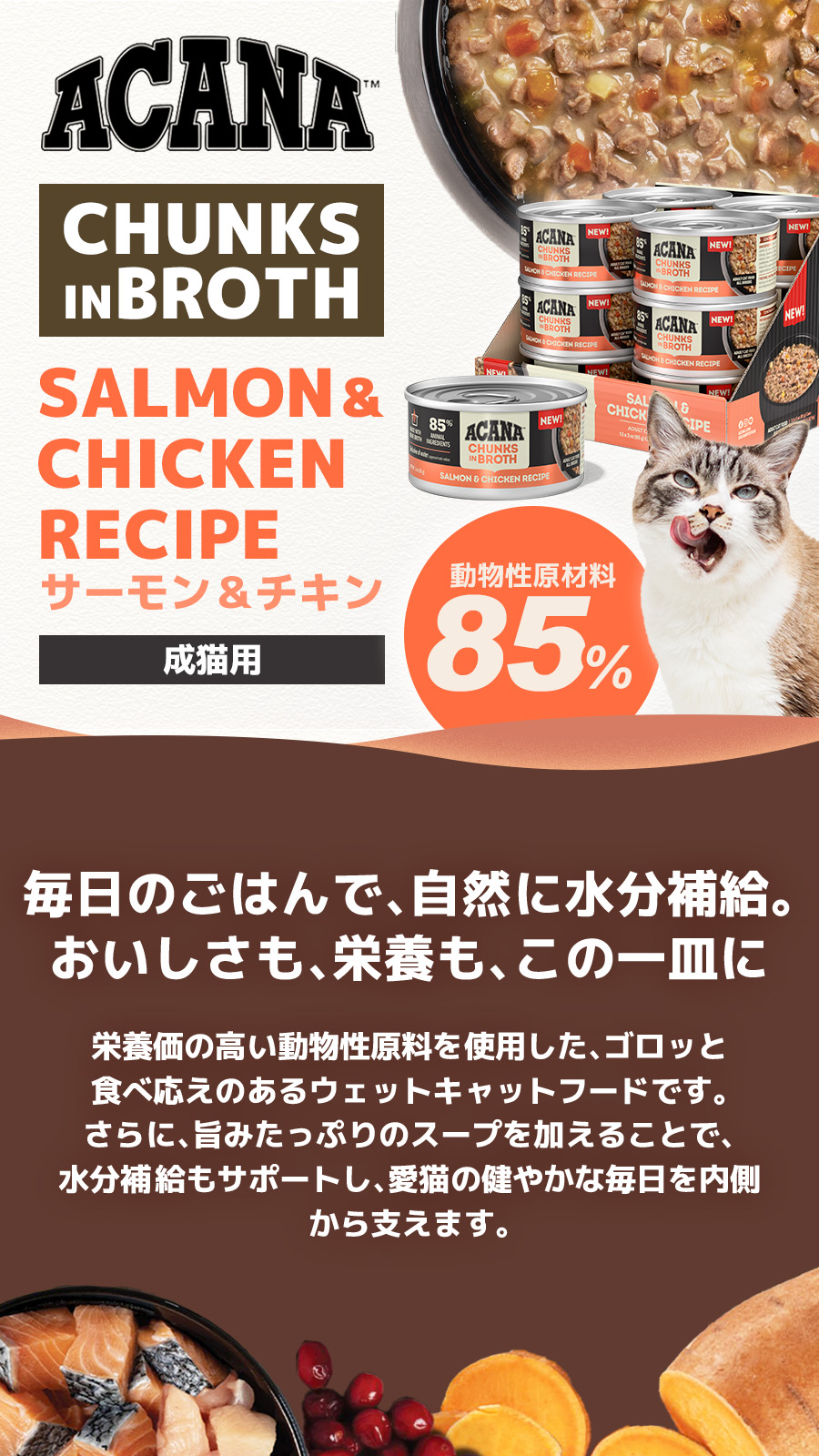 チャンクインブロス　サーモン&チキン