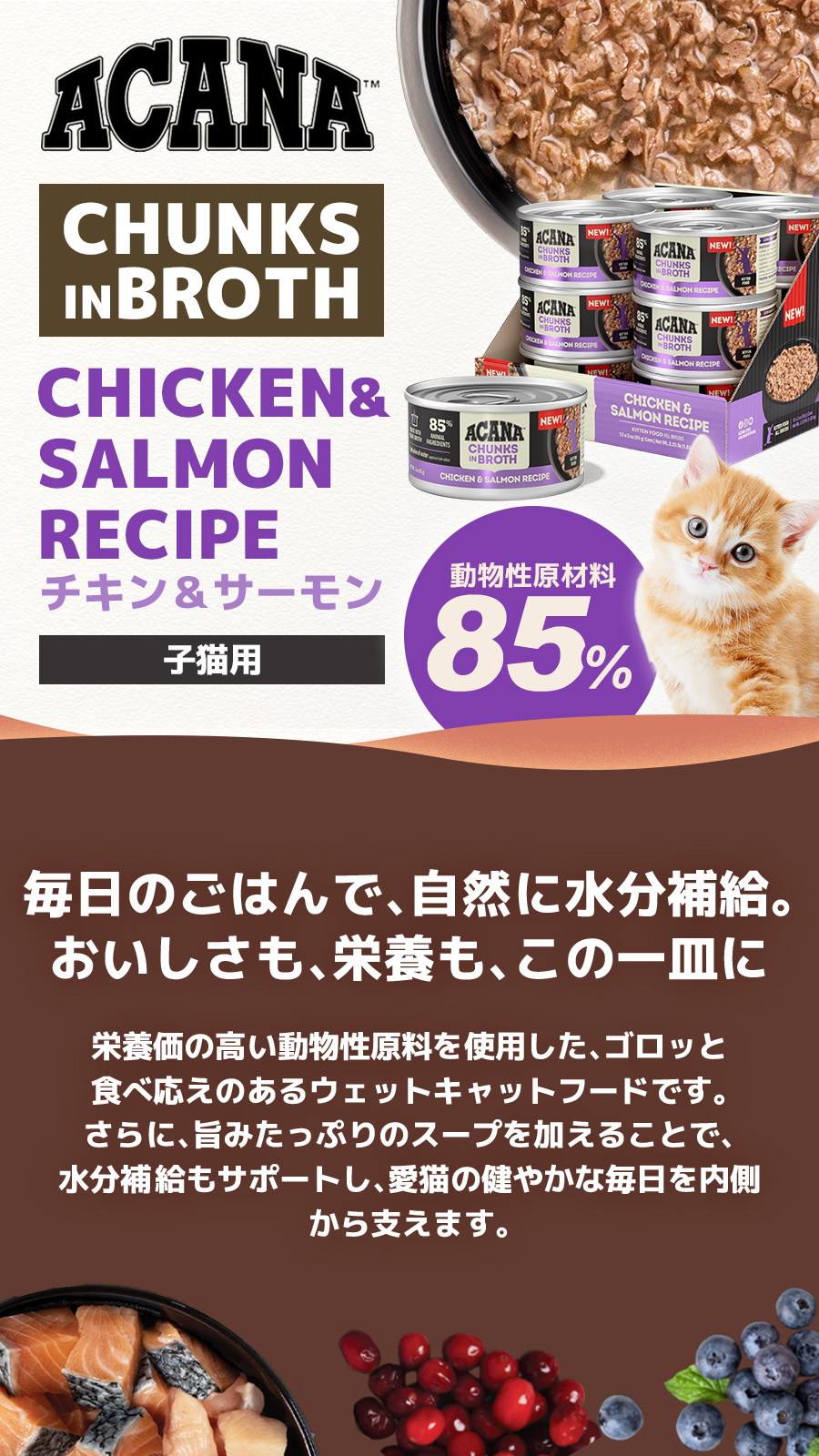 チャンクインブロス　チキン&サーモン