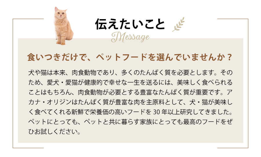 アカナ　キャット