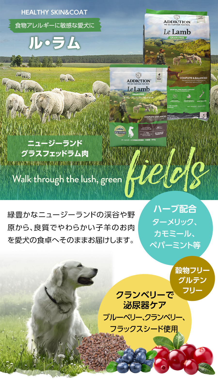 アディクション　ドッグ　ル・ラム