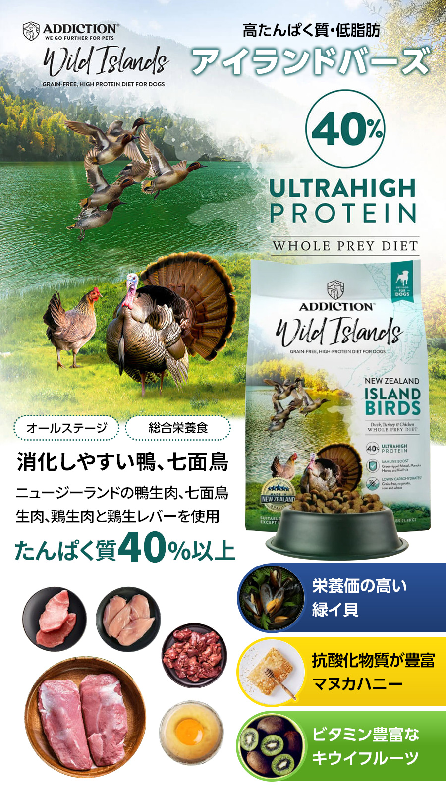 アディクション　ドッグ　ワイルドアイランズ　アイランドバーズ