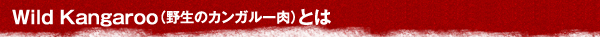 Addiction Foods アディクションフード