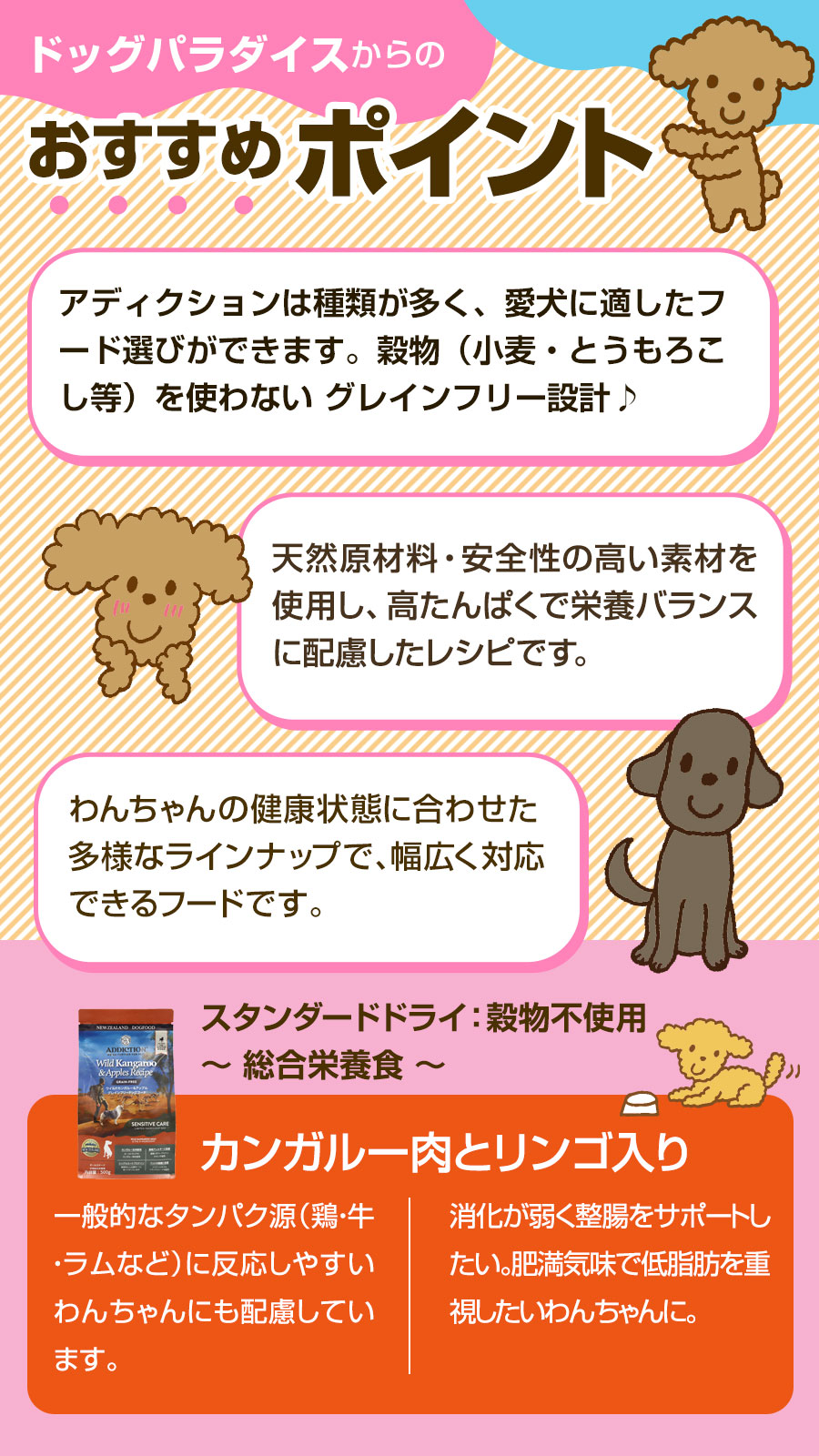 おすすめポイント