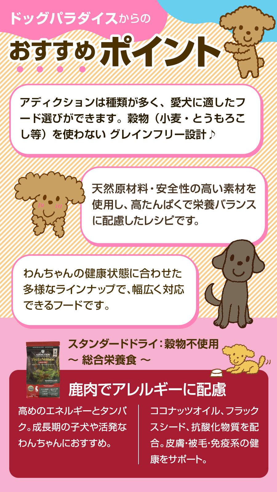 おすすめポイント