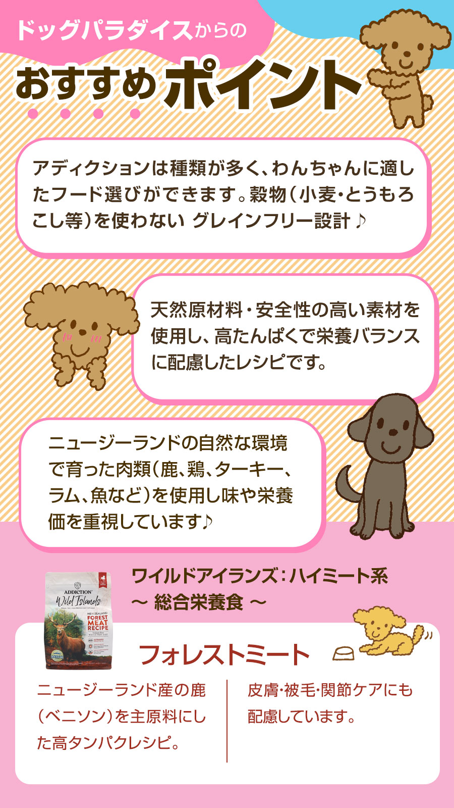 おすすめポイント