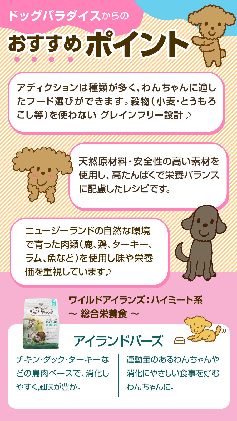 おすすめポイント