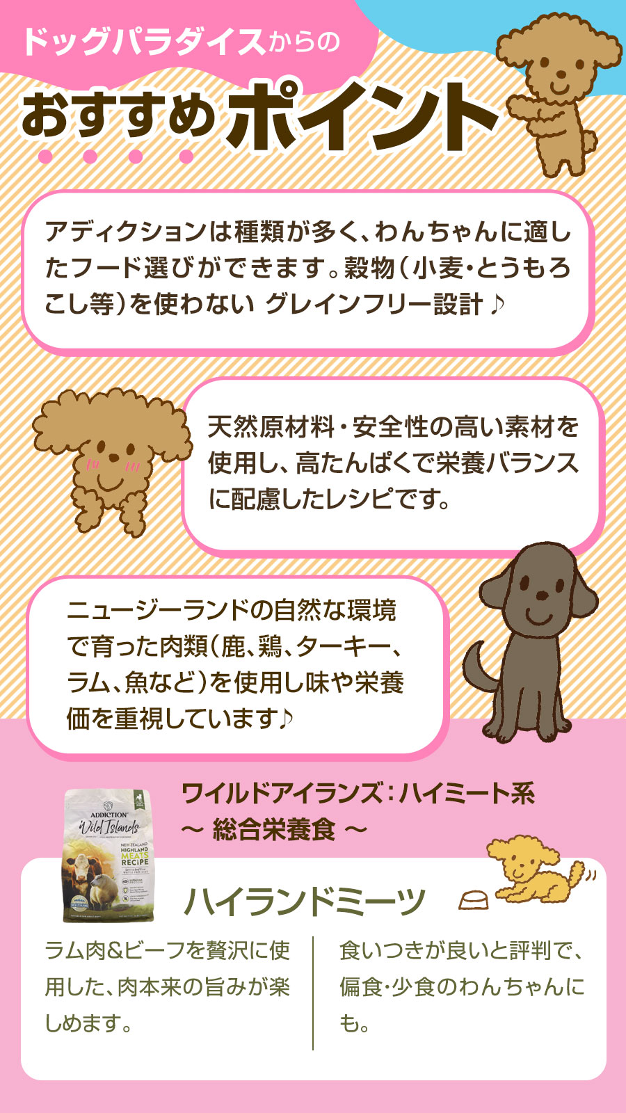 おすすめポイント