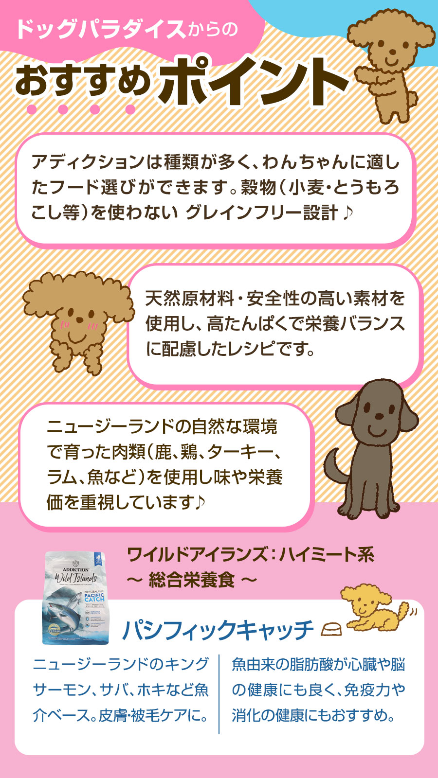 おすすめポイント