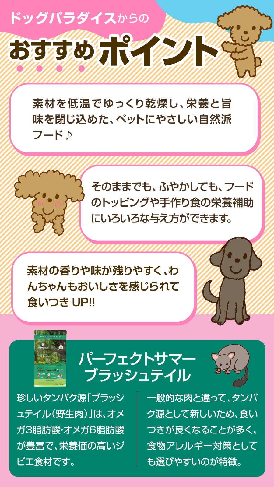 おすすめポイント