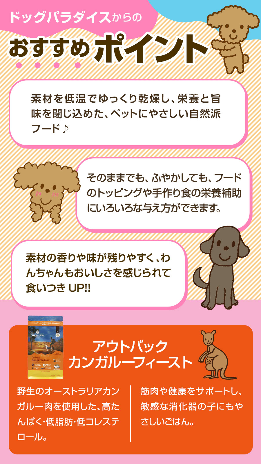 おすすめポイント