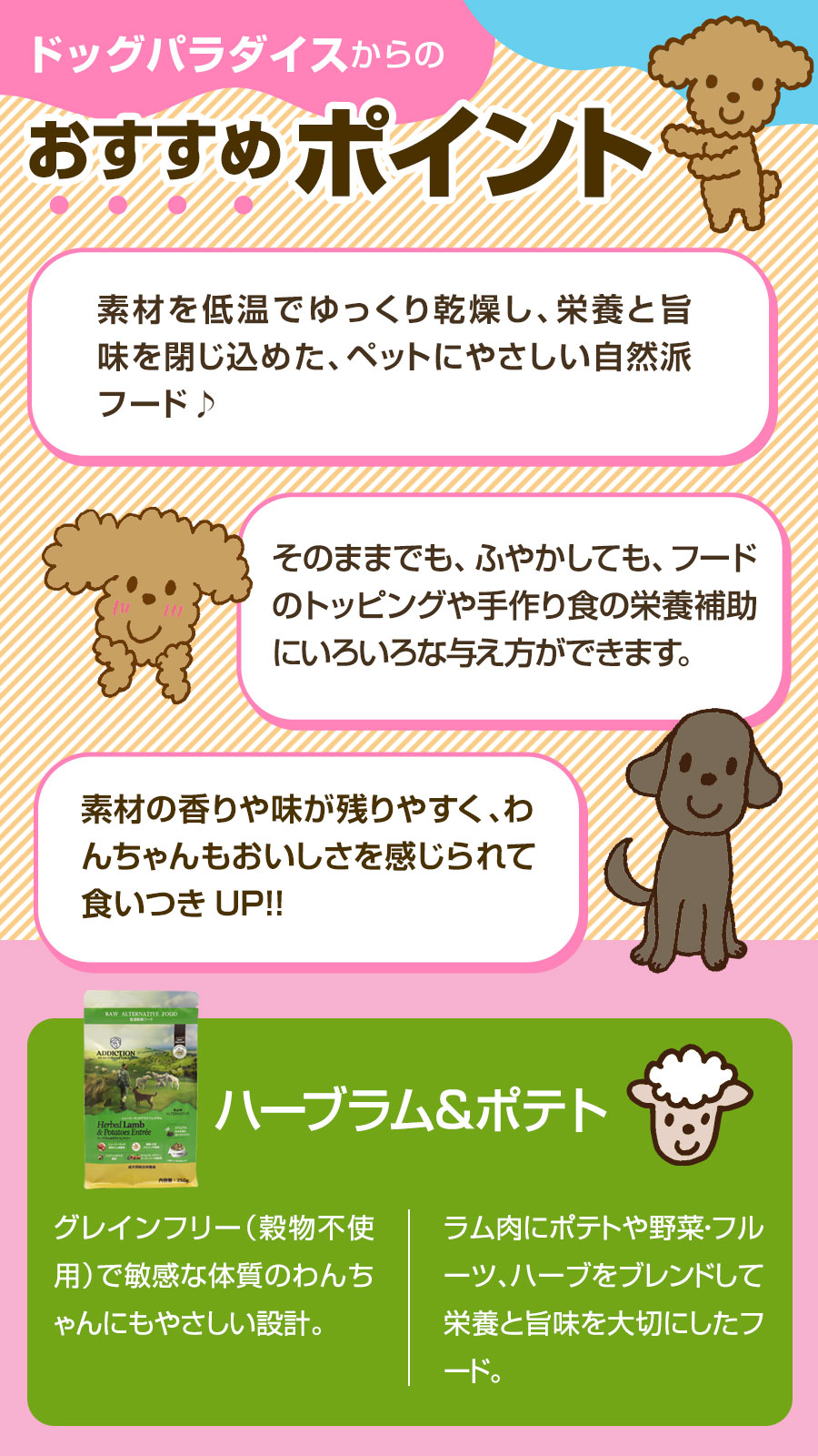 おすすめポイント