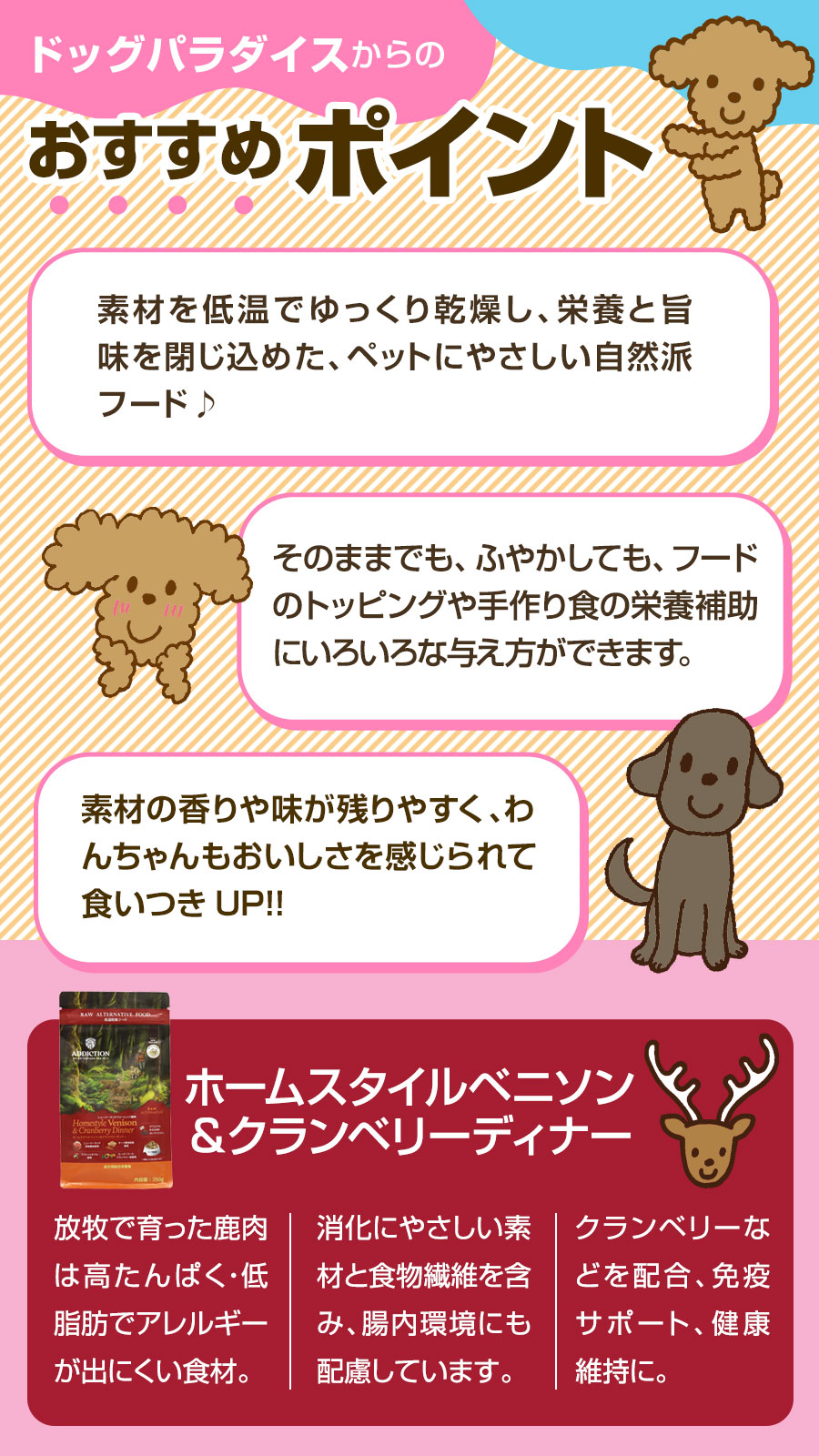 おすすめポイント