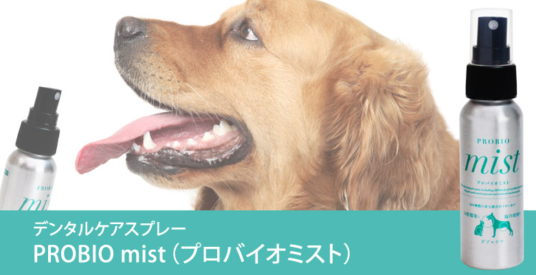 PROBIO MISTプロバイオミスト