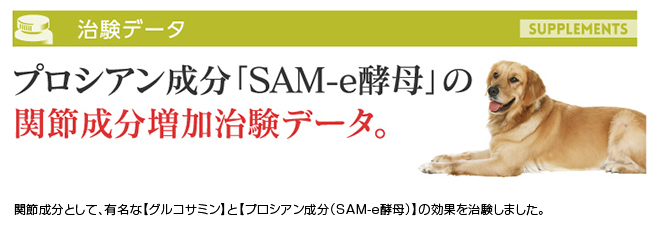 メーカー長期欠品につき入荷待ち 愛犬の関節サプリメント Medidare プロシアン ドッグパラダイス