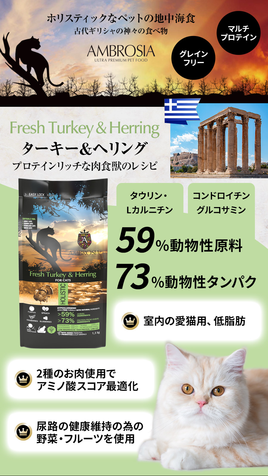 アンブロシア　キャット　ターキー＆ヘリング