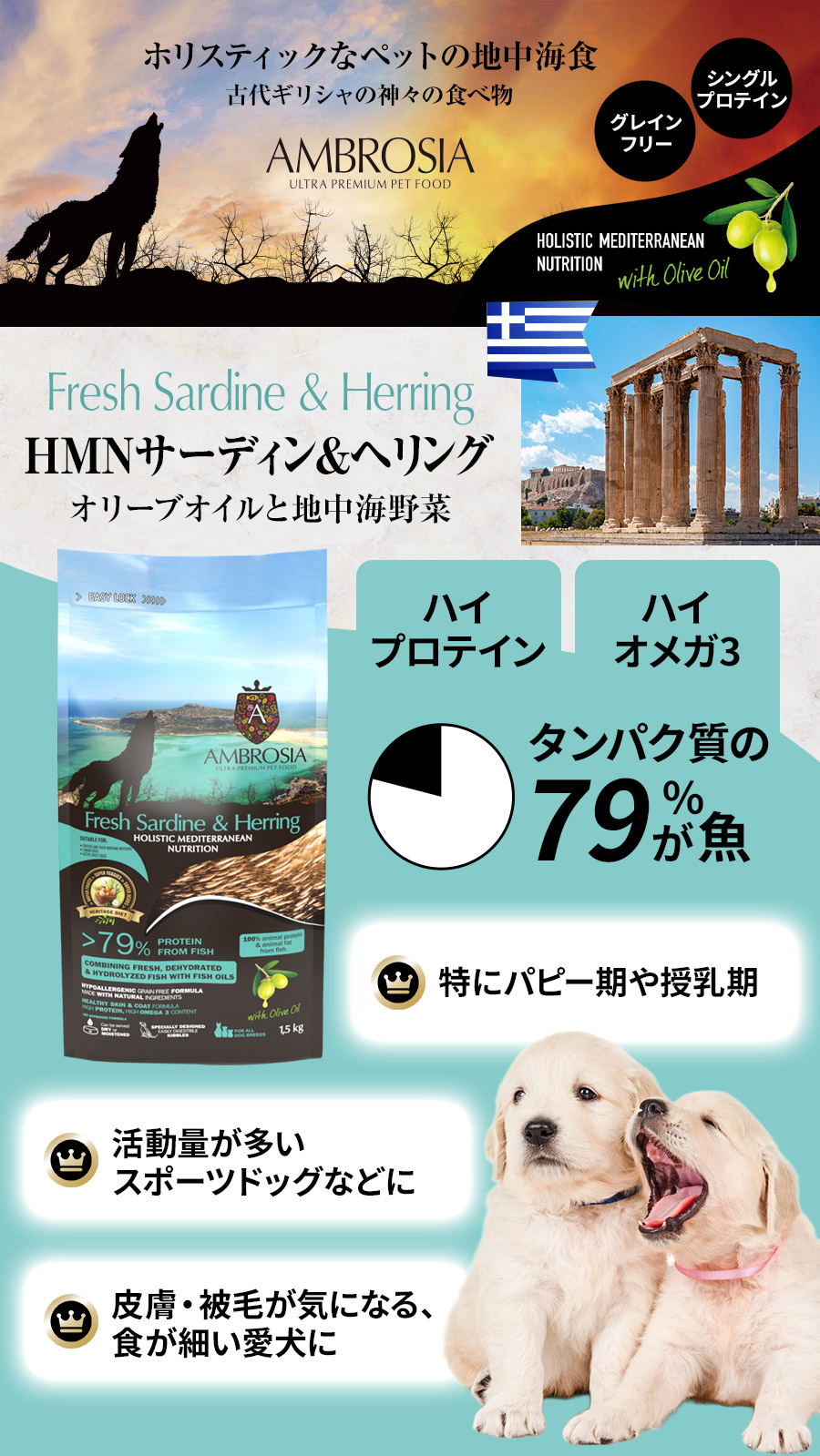 アンブロシア　HMN　サーディン＆ヘリング