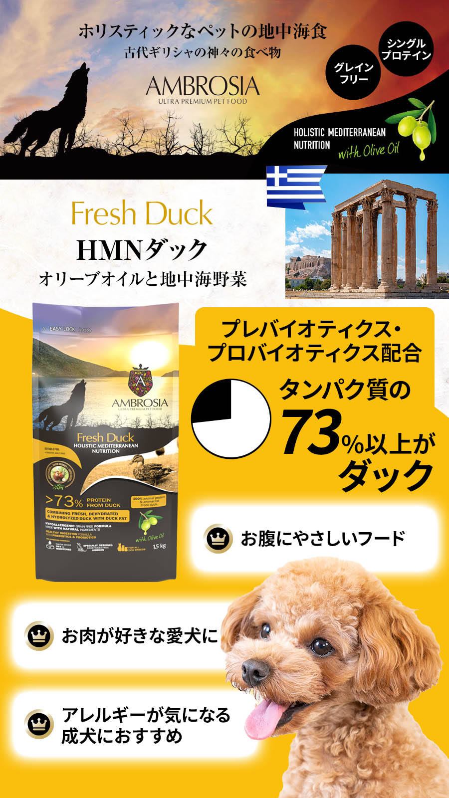 アンブロシア　HMN　ダック