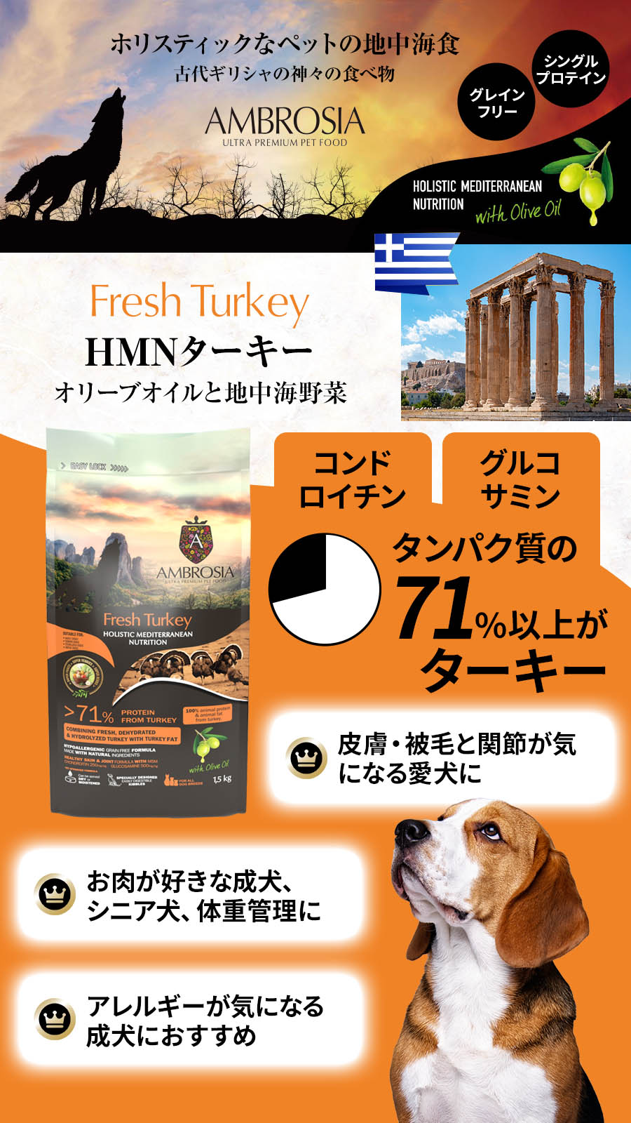 アンブロシア　HMN　ターキー