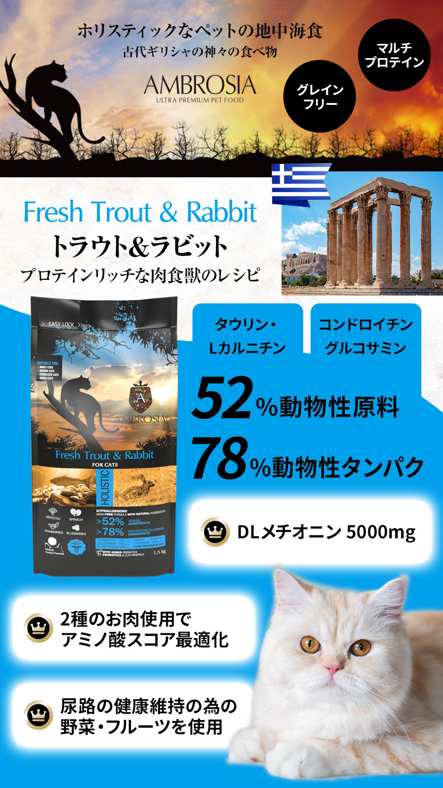 アンブロシア　キャット　トラウト＆ラビット