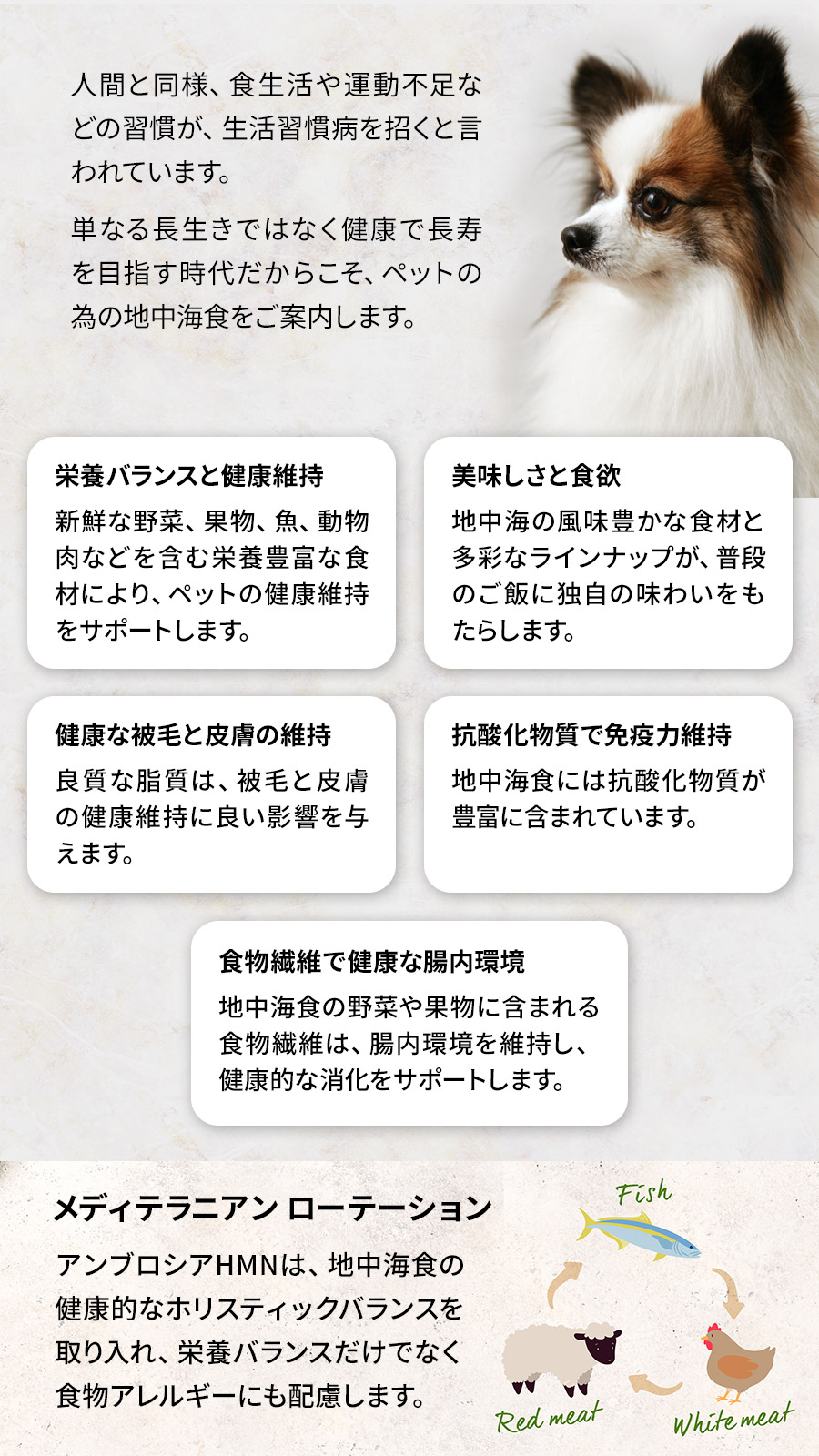 アンブロシア犬