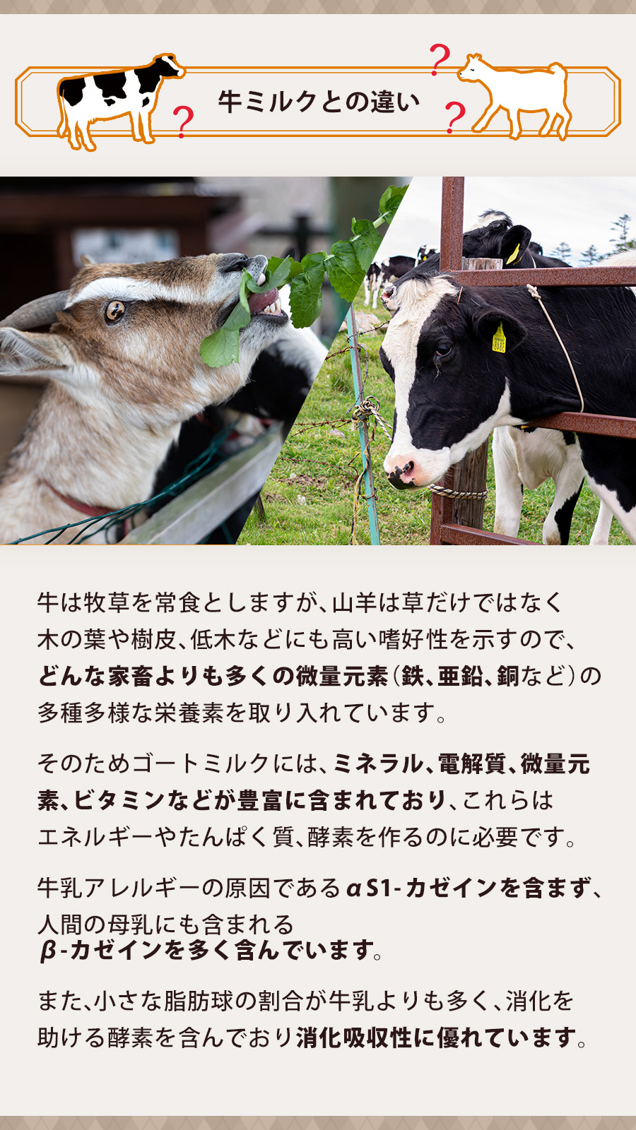 アーガイル シルキーゴートミルク