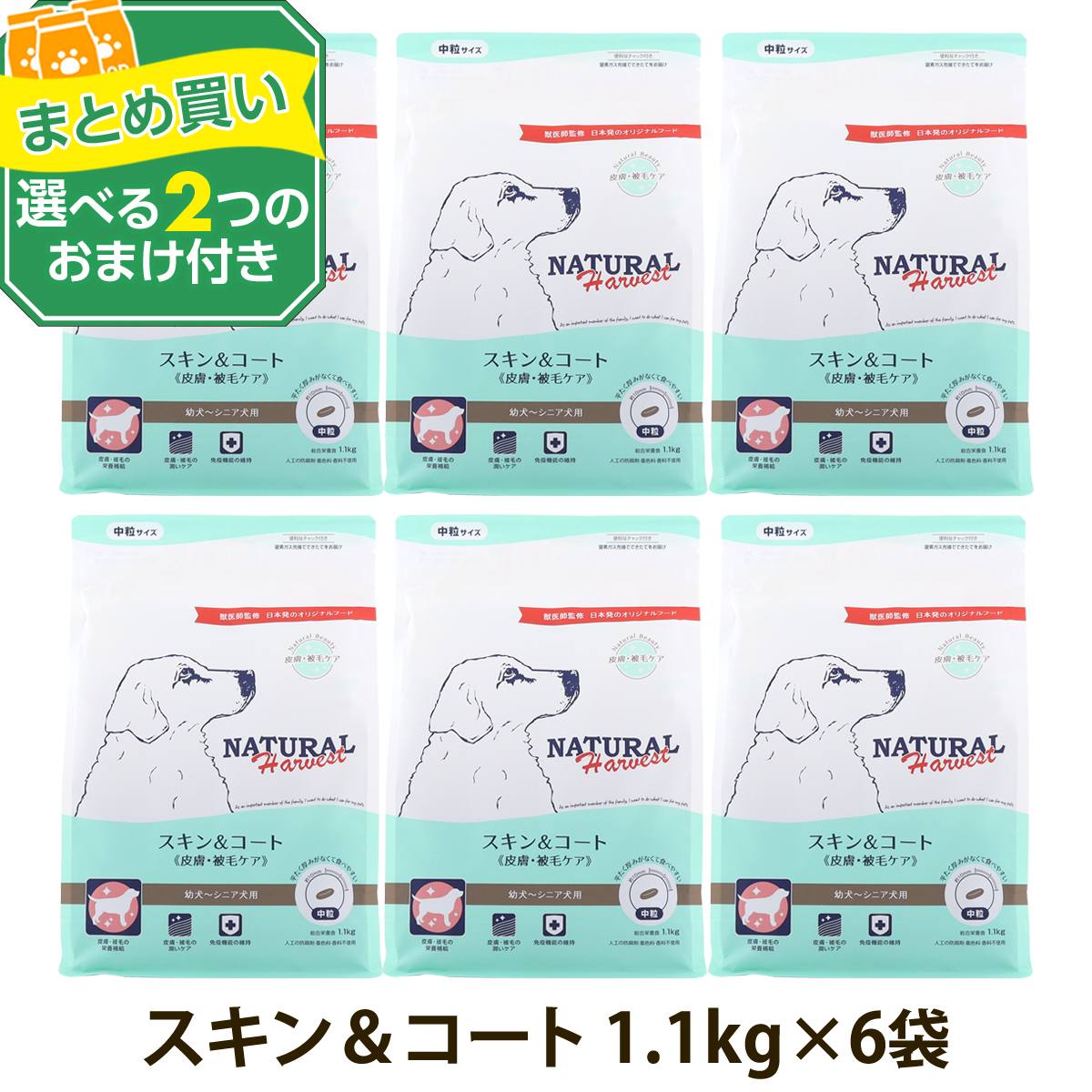 良質なタンパク質や必須脂肪酸を補いながら、免疫機能を維持することで身体の中から美しく