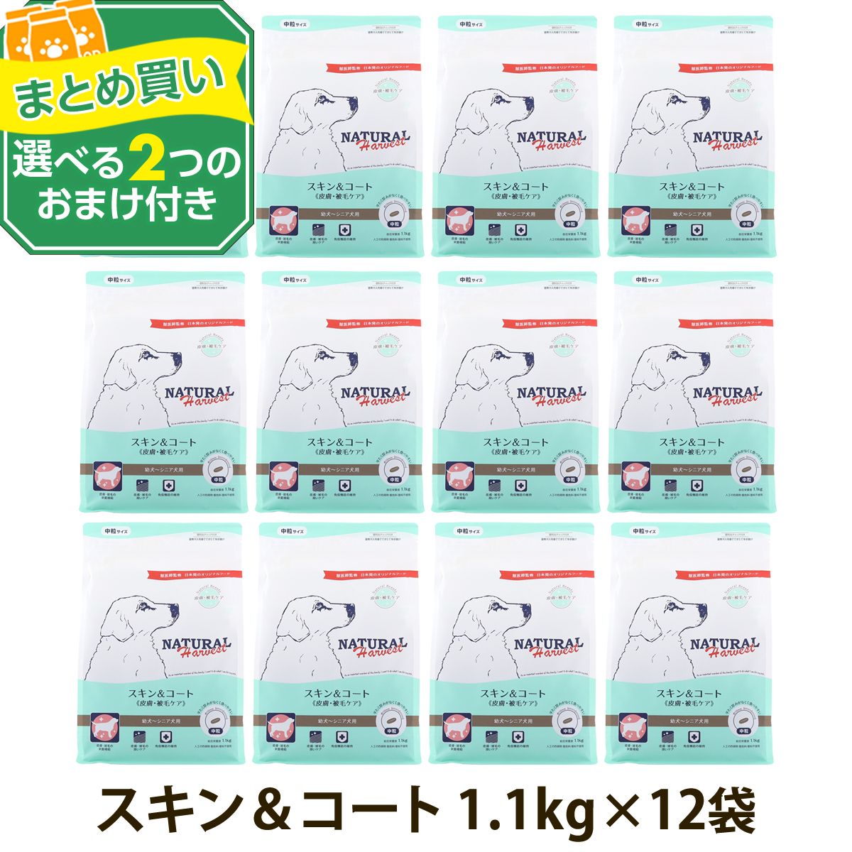 良質なタンパク質や必須脂肪酸を補いながら、免疫機能を維持することで身体の中から美しく