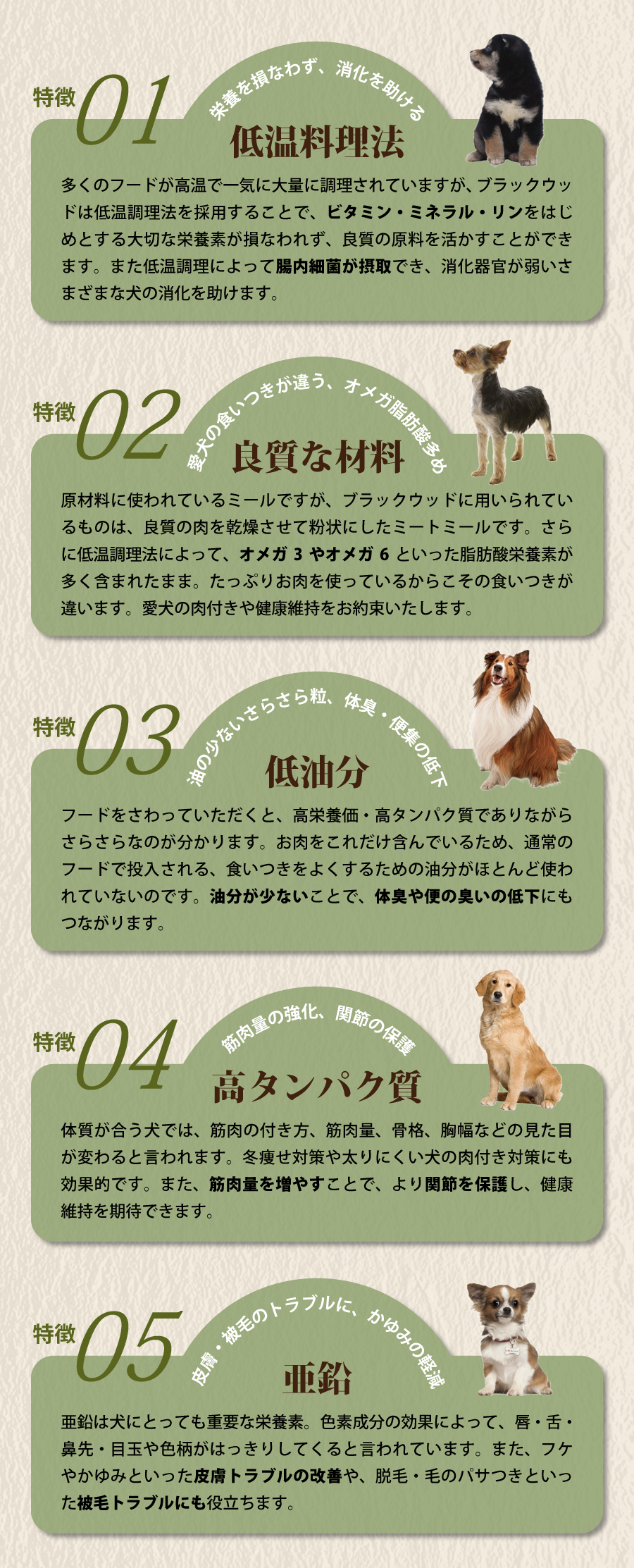 ブラックウッド