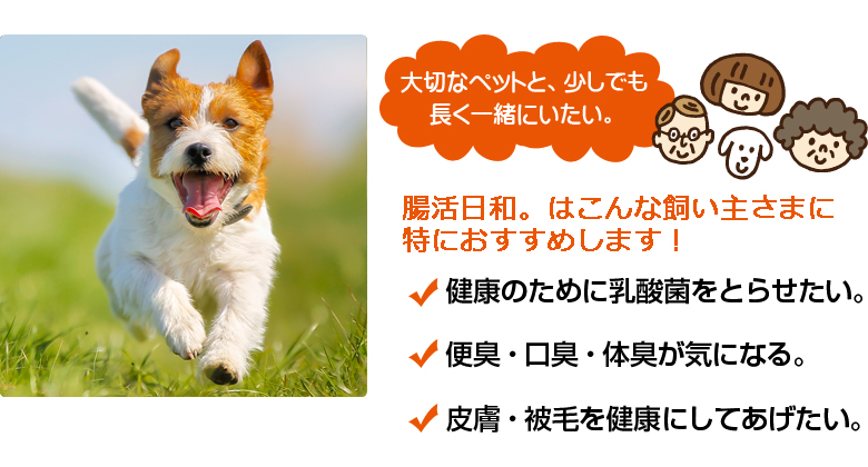腸活日和。はこんな飼い主さまに特におすすめします!