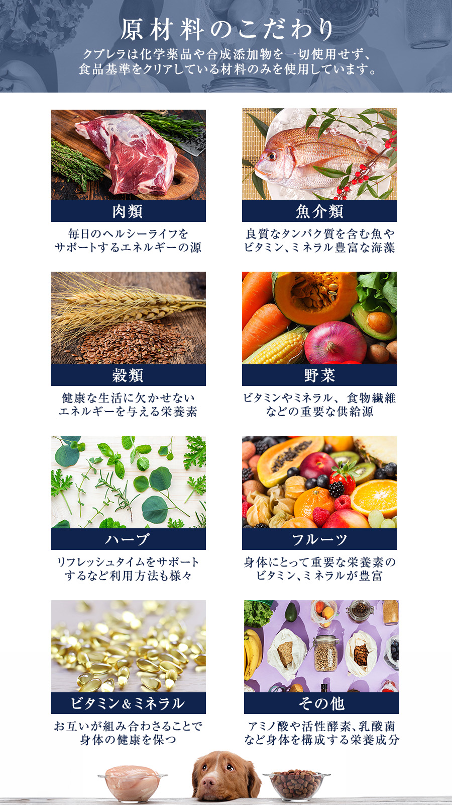 CUPURERA　EXTREME　クプレラエクストリーム　プレミアム　ベニソン