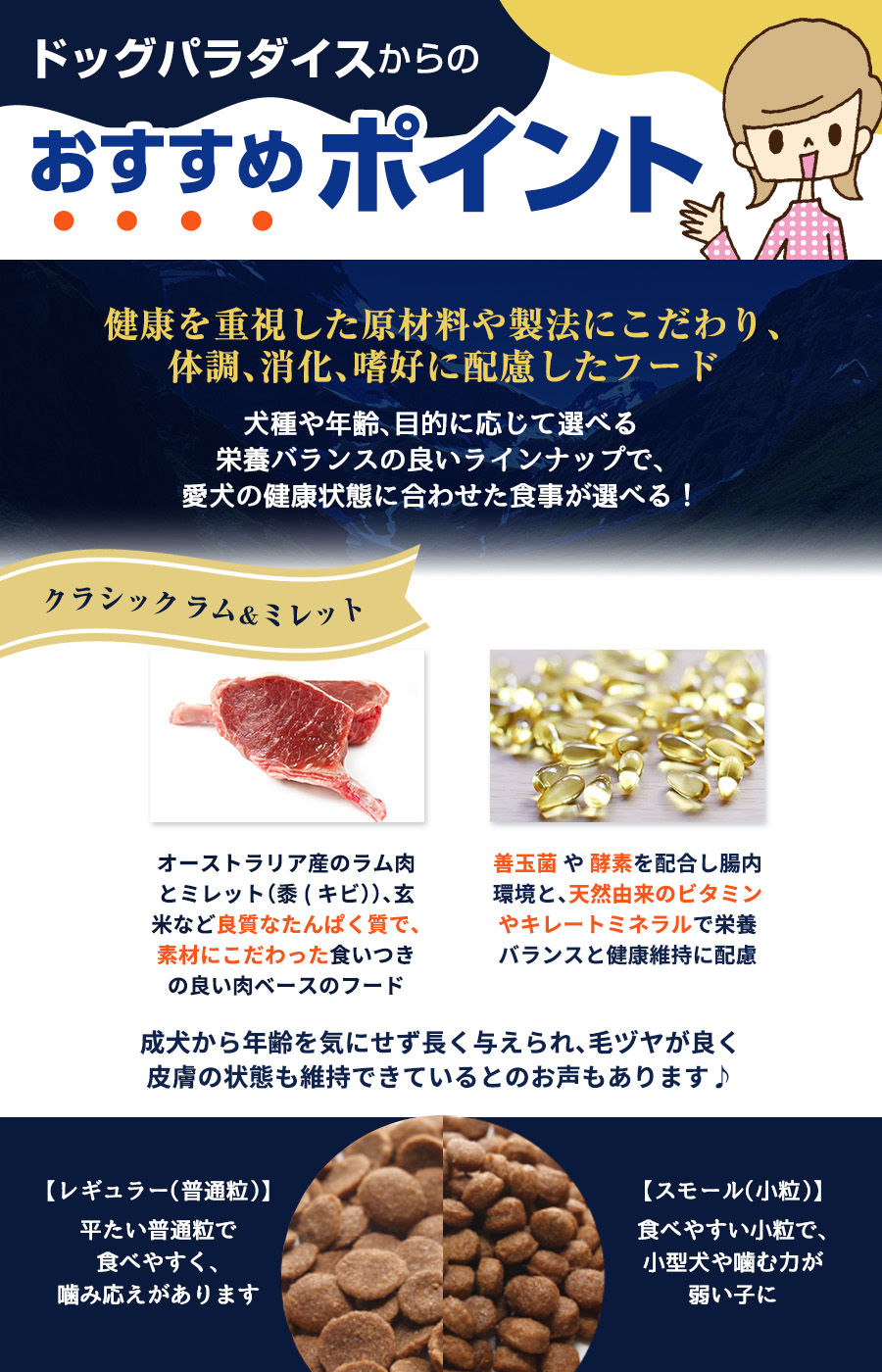 おすすめポイント